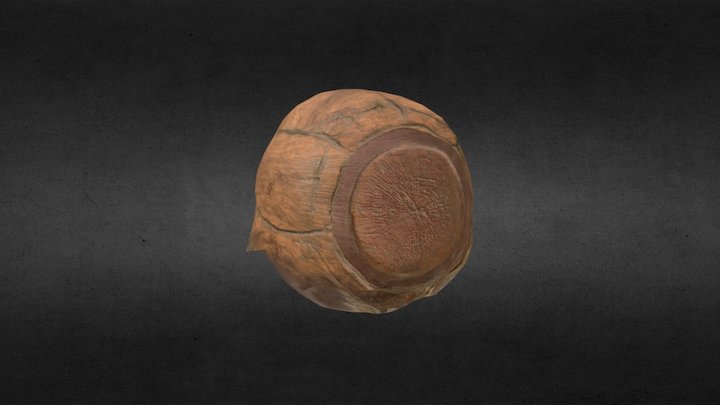 Wooden Ball 3D Model