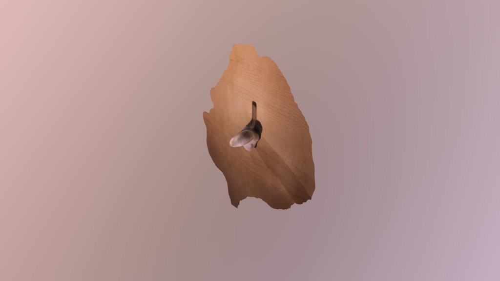 ciem right