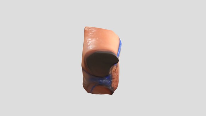 monroe 3D Model