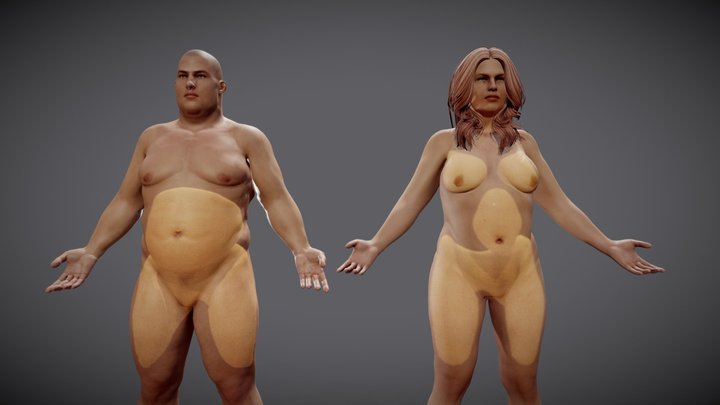 Male Vs Female fat distribution 3D Model