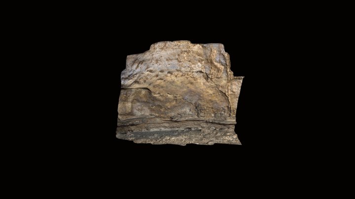 El Salitre Cave- Panel C.I 3D Model