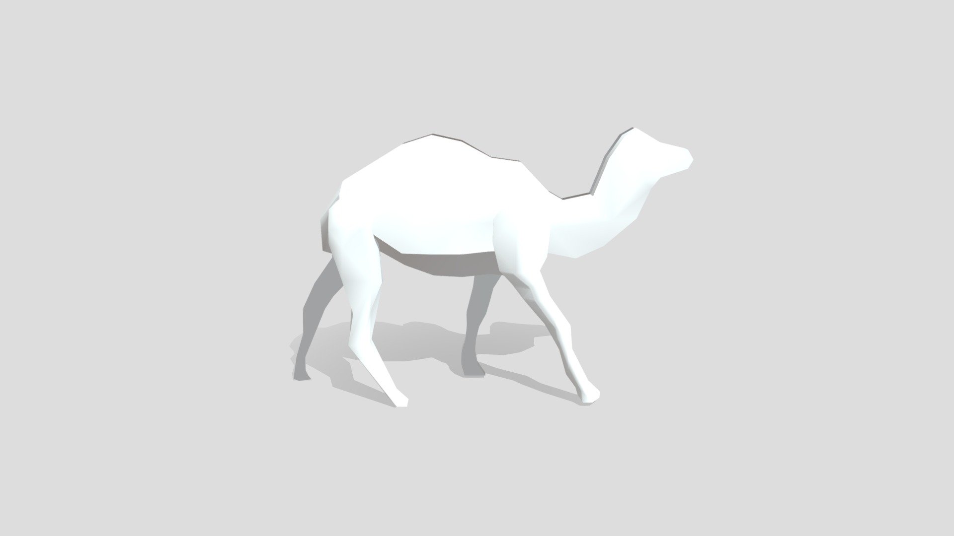 Camel