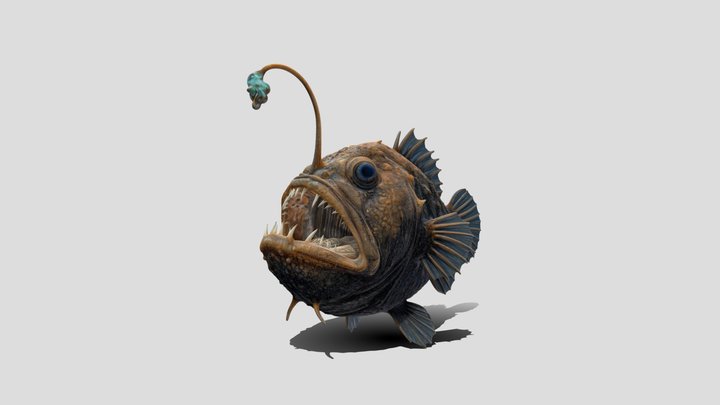 Abyssal Angler Fish 3d Model Free – Modello 3D gratuito STL