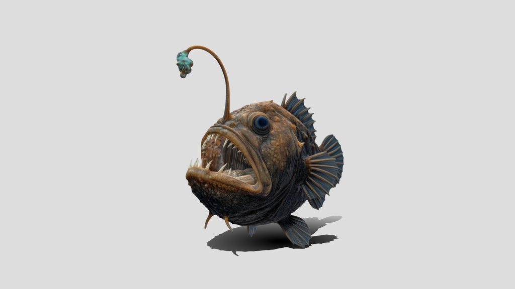 Abyssal Angler Fish 3d Model Free