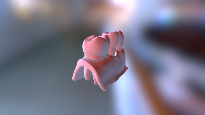 My model 3D Model