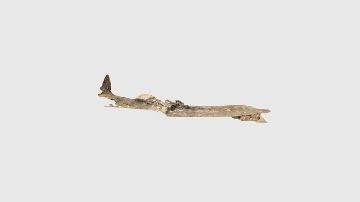 SU_9043 3D Model