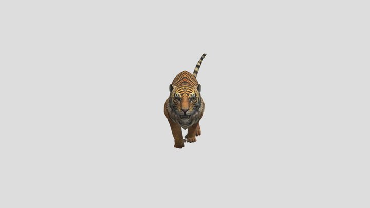 Bengal Tiger 3d model - CadNav