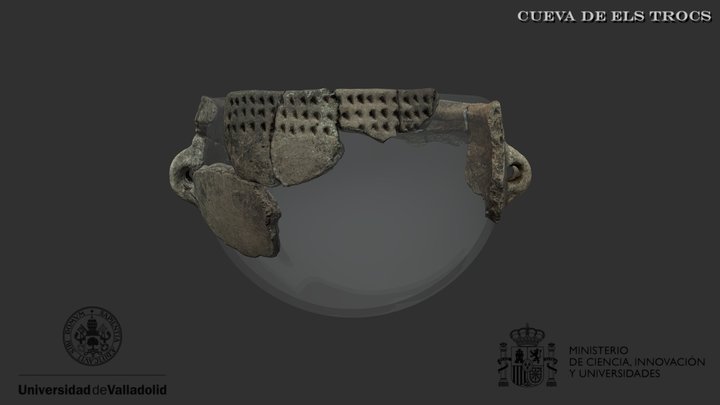 Recipiente 12 de la Cueva de Els Trocs 3D Model
