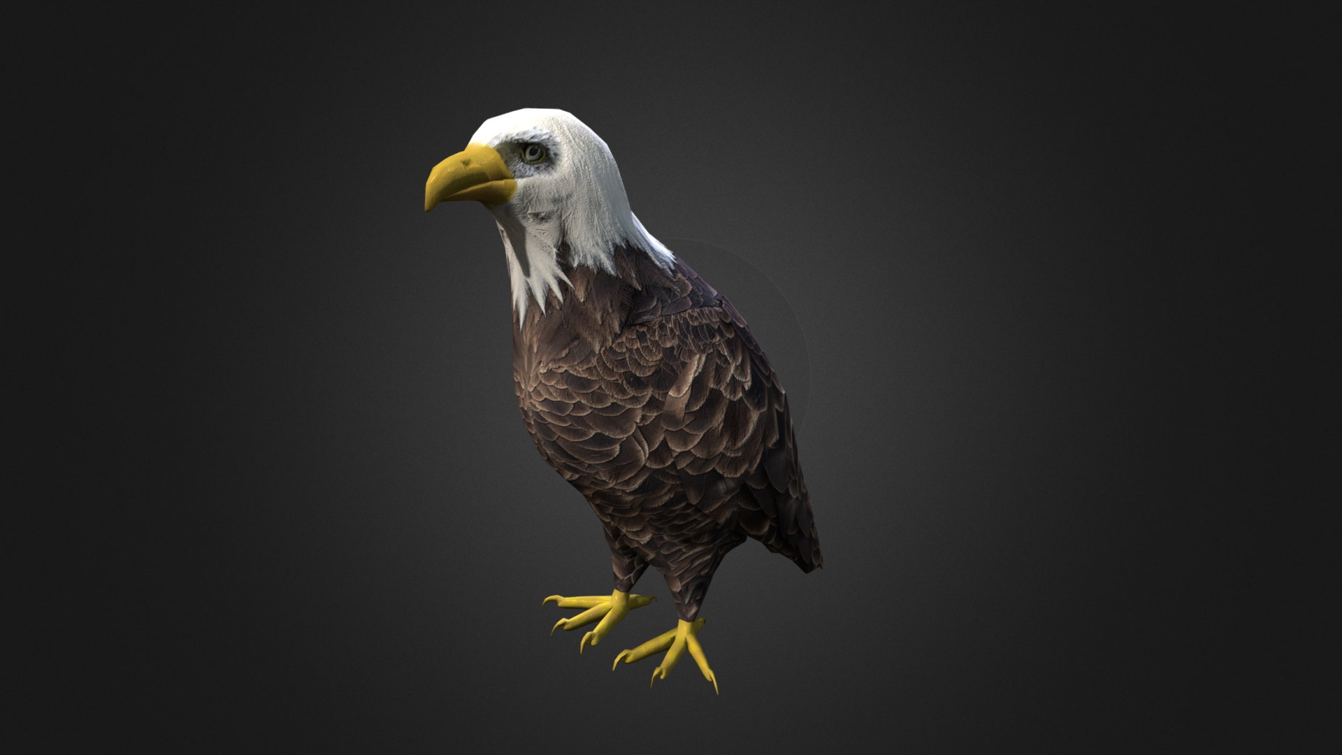 3D model Bald Eagle - This is a 3D model of the Bald Eagle. The 3D model is about a bald eagle with yellow feet.