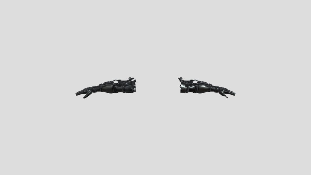 Secondary Weapon Hand