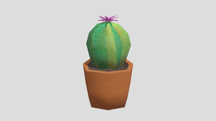 ErioCactusFlower in a Pot 3D Model