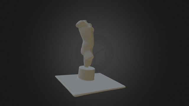 Torso 3D Model