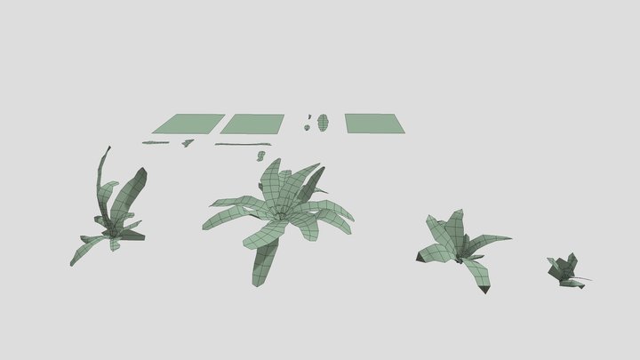 Plant Texture Exercise 3D Model
