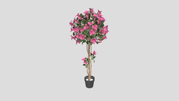 Bougainvillea Tree Topiary Style – Kostenloses 3D-Modell STL