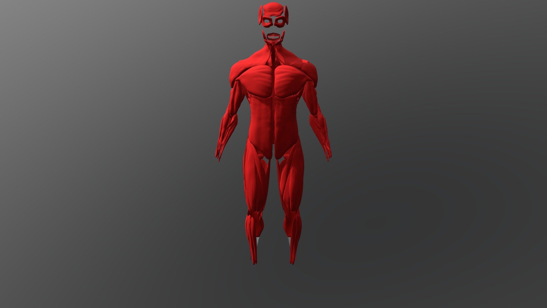 Musculos - Practica Escultura