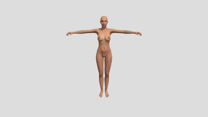 1 3D Model