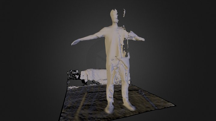 MeshStructure Sensor - test scan 14 - Will 3D Model