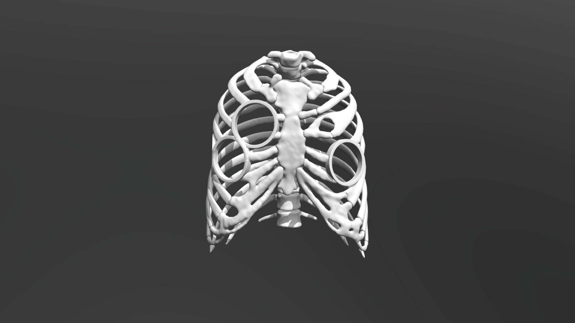 thorax_simulator_2 - 3D model by valchanov [33dcaaf] - Sketchfab