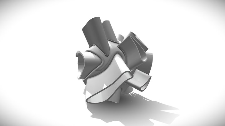 Shell With Support And Twist 3D Model