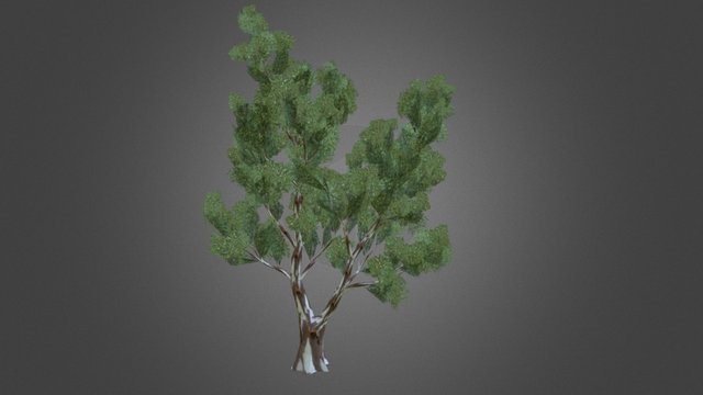 4000 3D Model