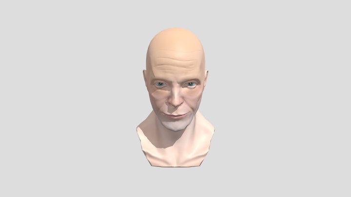 Sam Lake Bust Sculpt Study (Low Res) 3D Model