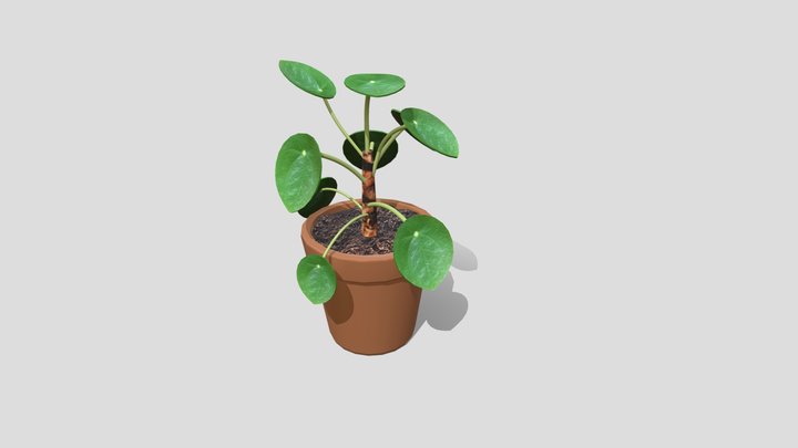 Plant 3D Model
