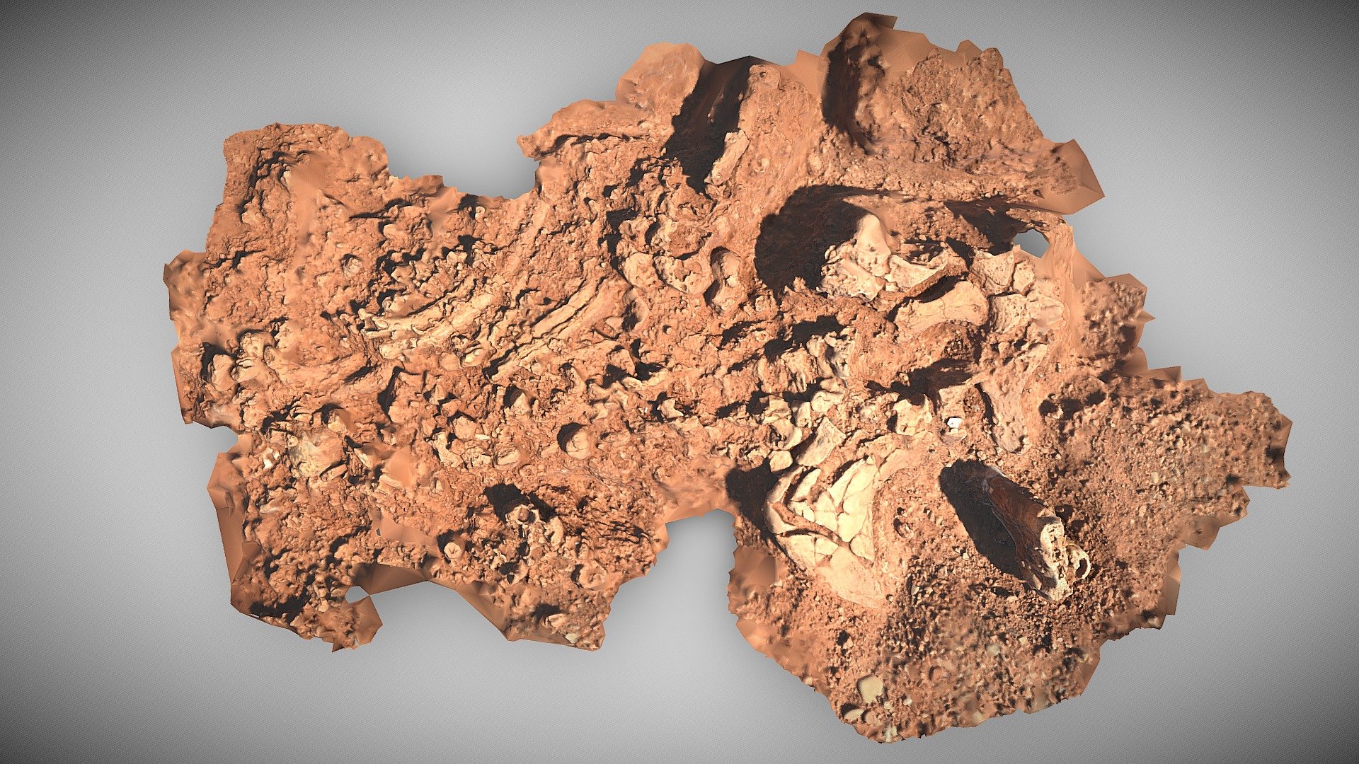 DB70 Diprotodon 'Splat' - 3D model by UQ School of Earth and ...