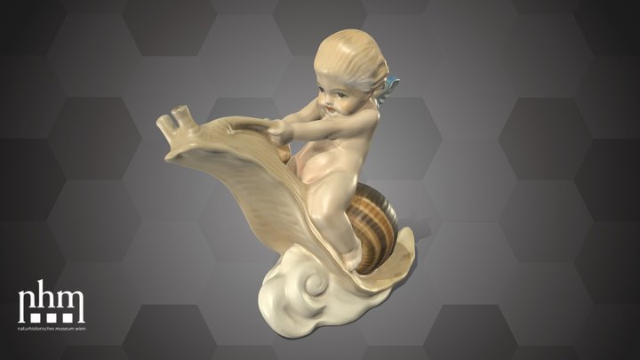 Schneckenreiter (NHMW-ZOO-MO-0081100-ETH-002) – Modello 3D gratuito STL