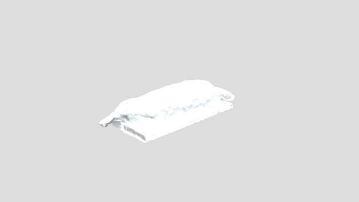 Ornitorrinco disecado 3D Model