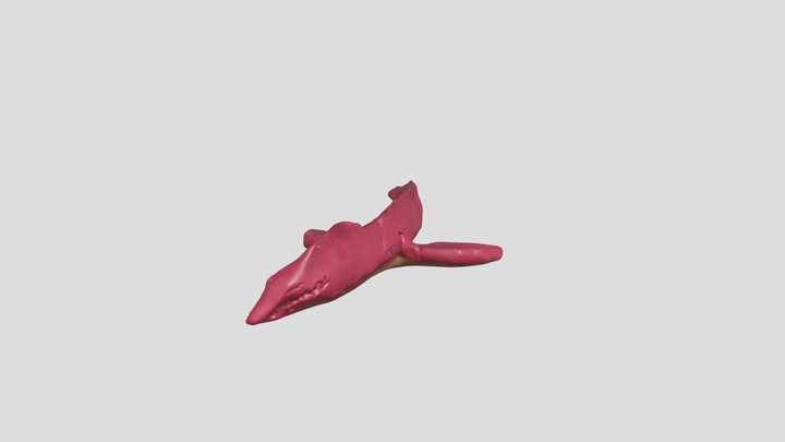 We have pleisiosaur at home – Kostenloses 3D-Modell STL