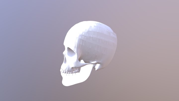 Kennedy Cranium - OBJ 3D Model