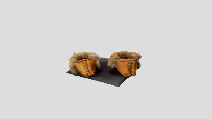 Cole- Moccasins 3D Model