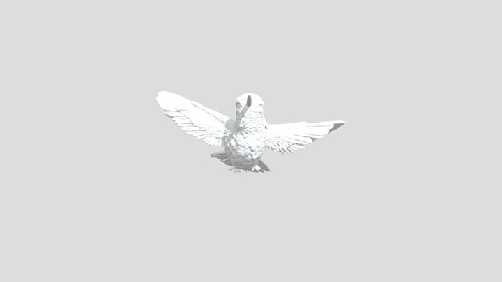 Hummingbird Grace