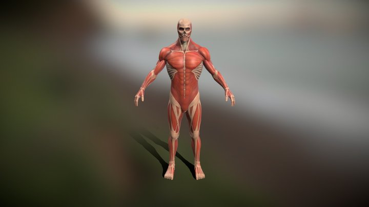 PUBG X AOT 3D Model - Colossal Titan 3D Model
