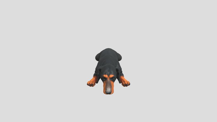 Dreamy Dachshund 3D Model