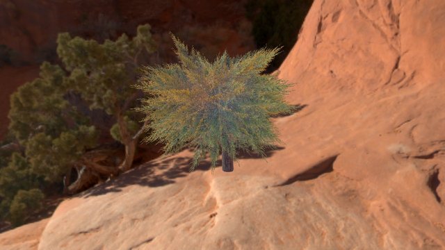 No Tree 3D Model