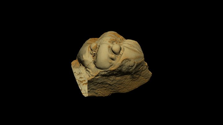 Enrolled trilobite Flexicalymene senaria 3D Model