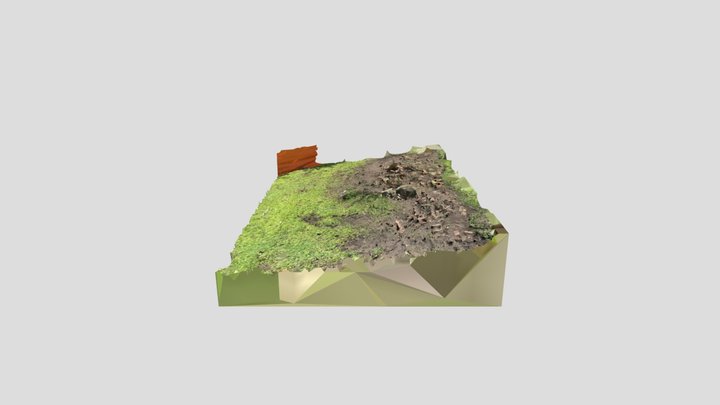 Brick Rubble At Ailey Young House 3D Model