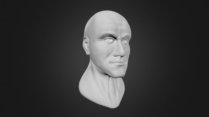 Head Sculpt.blend 3D Model
