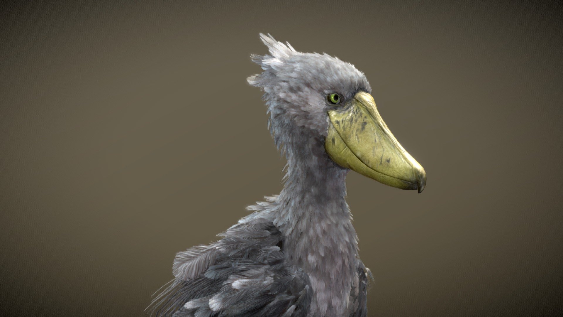 特撮 Shoebill CollectA Realistic Animal Replica Shoebill Figure Large Ages