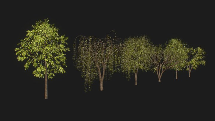Command Post | Trees 3D Model