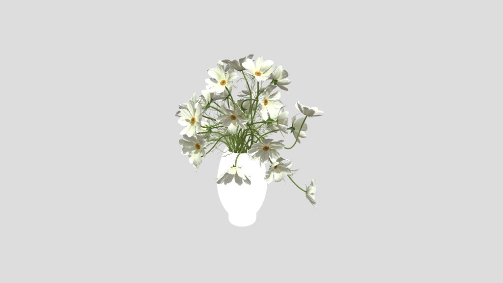 White Cosmos Flower