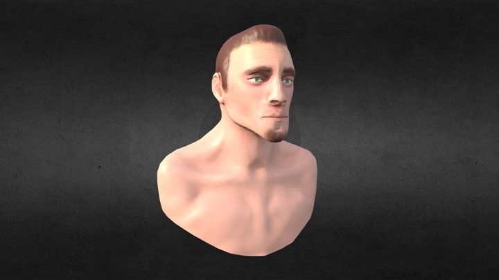 LikenessBust 3D Model