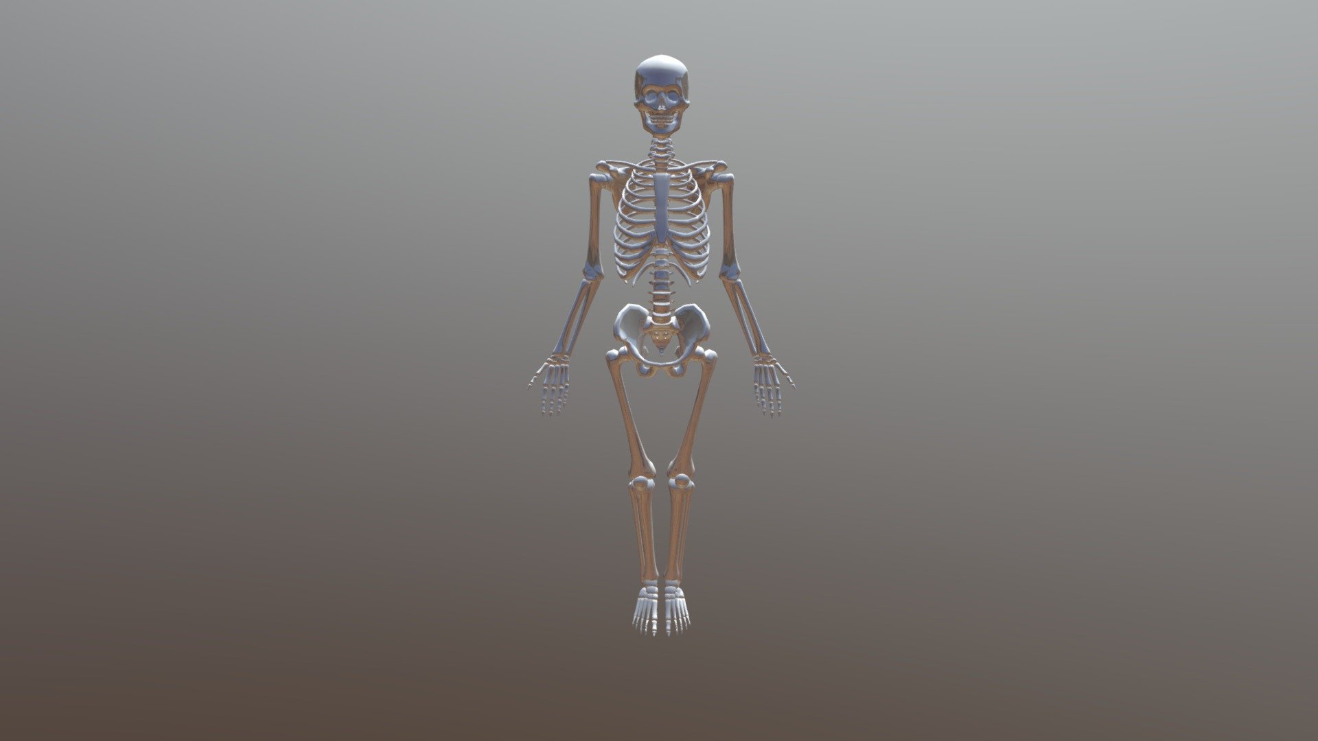 Skeleton Walk1 - 3D model by illupo [33feafd] - Sketchfab