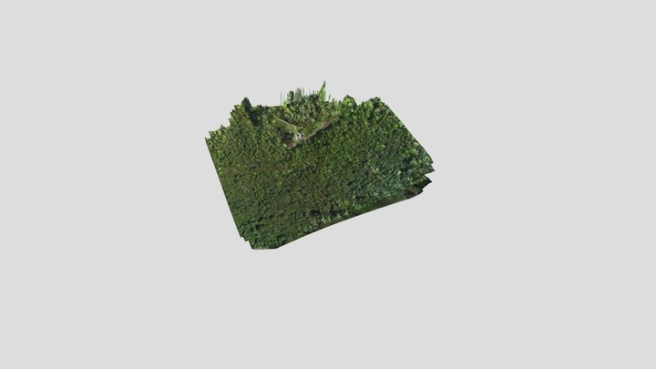Kinnoul Hill and Tower 3D Model