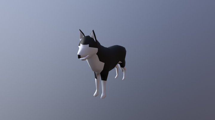 Low Poly Huskey Dog 3D Model