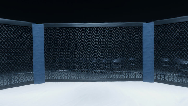 MMA Octagon 3D Model