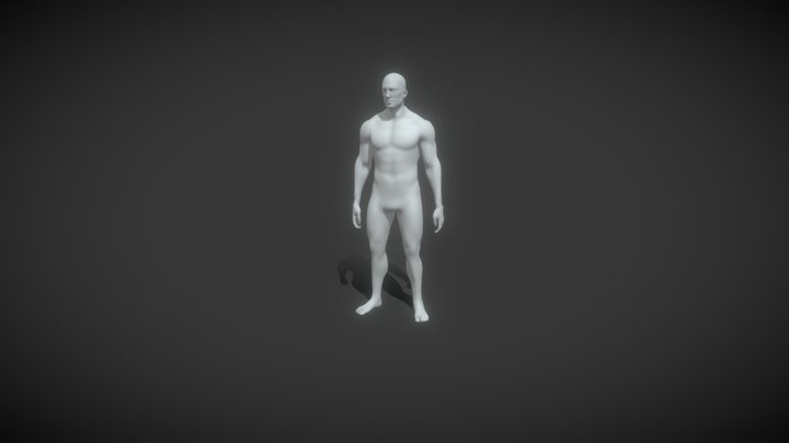 Male Body Base Mesh Animated and Rigged 10k Poly 3D Model