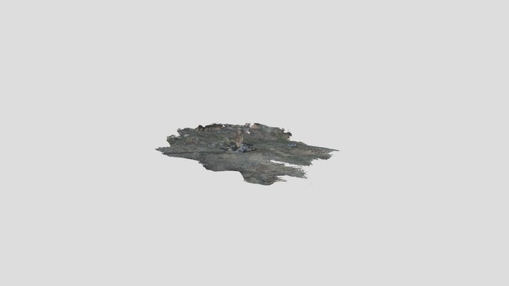 Standing Stone, Dartmoor 3D Model