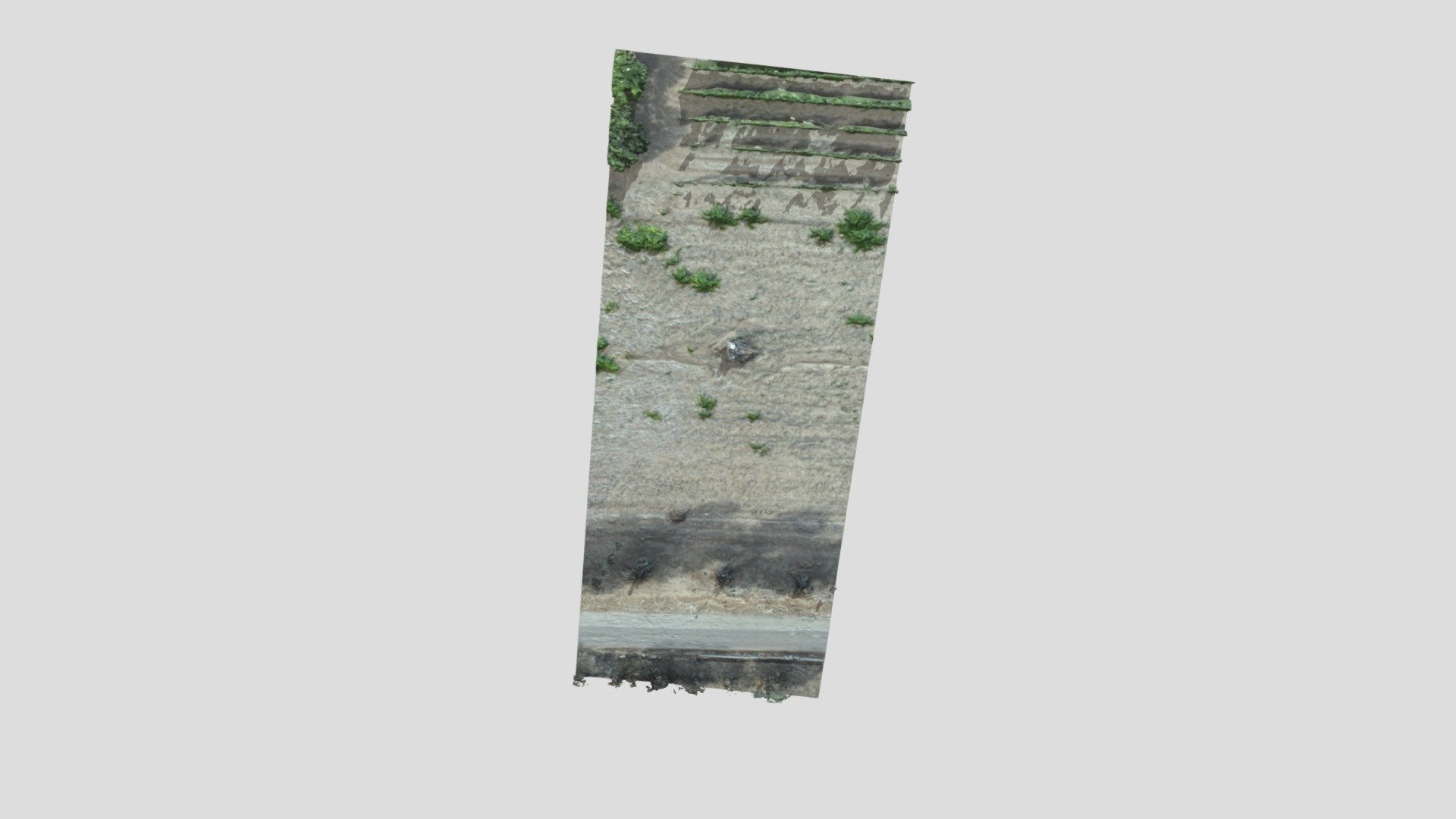 Modello 01